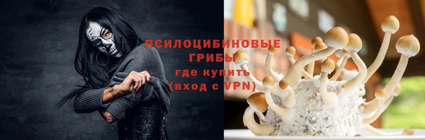 твердый Лабытнанги