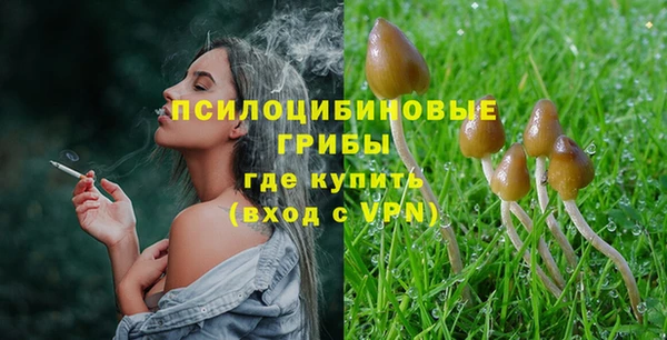 твердый Алзамай