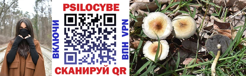 Псилоцибиновые грибы Psilocybe  ОМГ ОМГ как войти  Нытва 